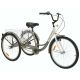 Royal London Adult Tricycle 3 Wheeled Trike Bicycle with Wire Shopping Basket - Silver